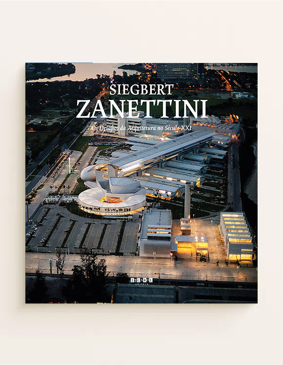 Siegbert Zanettini, Desafios da Arquitetura no século XXI